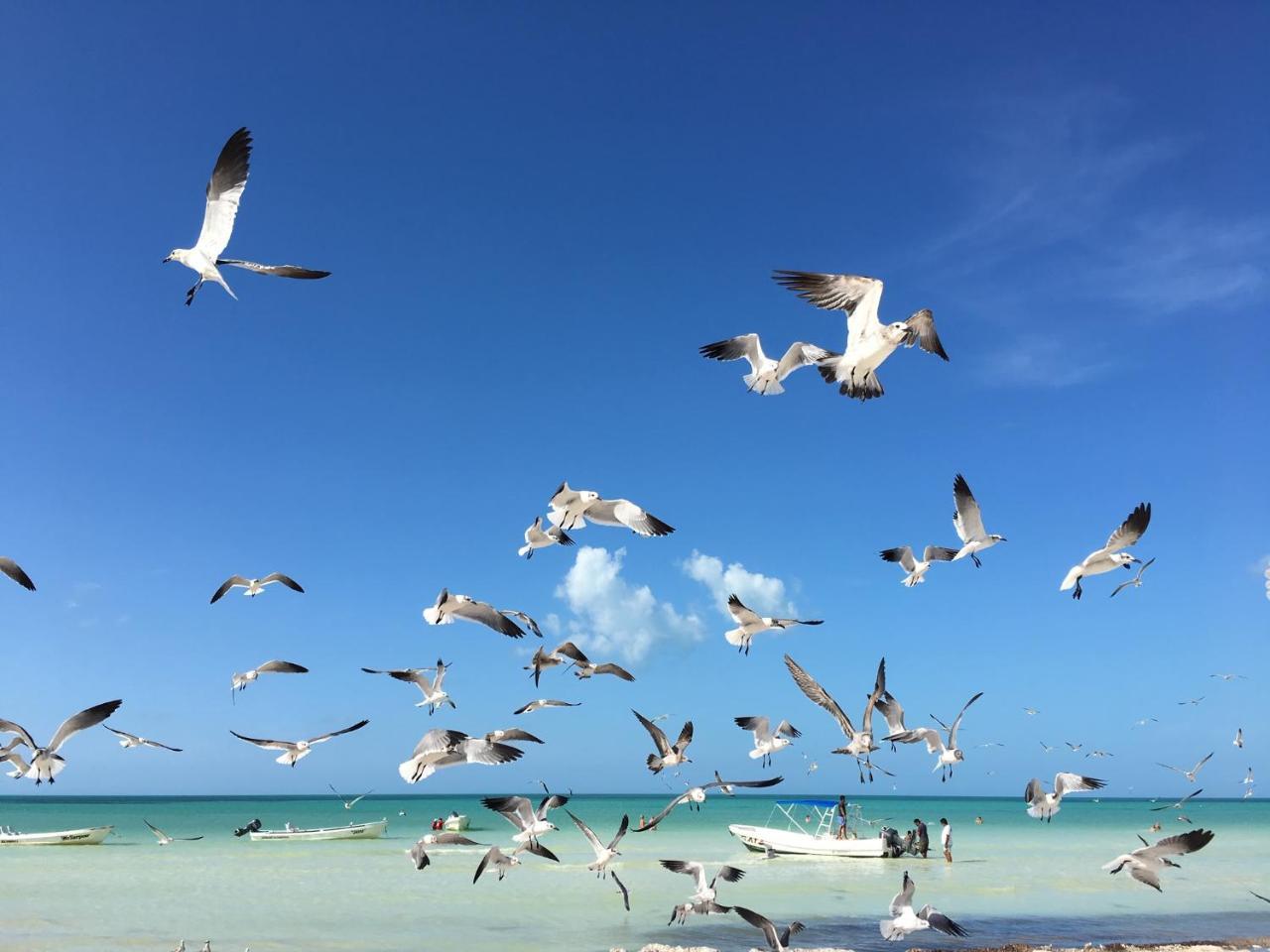 El Corazon Boutique Hotel - Adults Only With Beach Club Pass Included Isla Holbox Exteriér fotografie